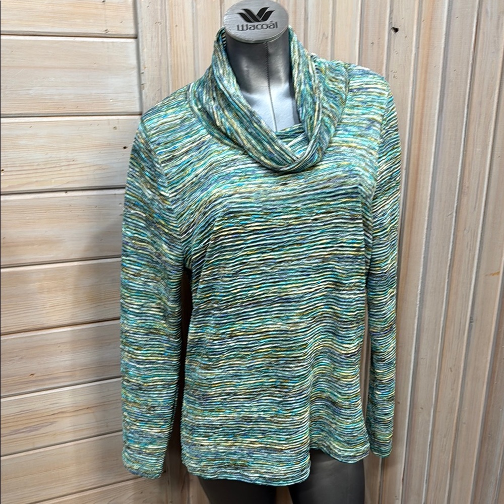 Erin London Green and Blue Cowl Neck Sweater